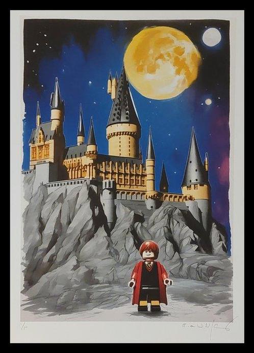 Emma Wildfang - Harry Potter – Series Lego Cinematic, Enfants & Bébés, Jouets | Duplo & Lego