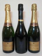 1995 Louis Roederer, Leon Launois - Champagne Brut, Brut, Verzamelen, Nieuw