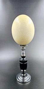 Struisvogel Ei - Struthio Camelus ei Ostrich egg - 395 mm -