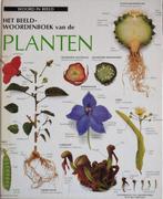 BEELDWOORDENBOEK-PLANTEN 9789065905765 Auteur, Verzenden, Auteur