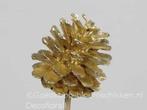 Dennenappels op draad/stick grootverpakking goud doos ca., Nieuw