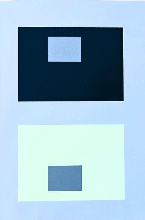 Josef Albers (1888-1976) - Interaction of Colors, Antiek en Kunst, Antiek | Overige Antiek