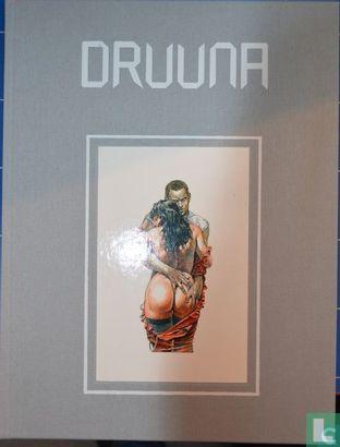 Druuna - 1990, Boeken, Stripverhalen, Zo goed als nieuw, Eén stripboek, Verzenden