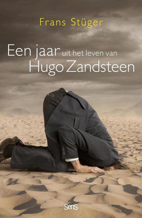 Een jaar uit het leven van Hugo Zandsteen 9789464370850, Livres, Livres Autre, Envoi