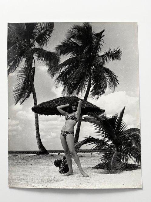 Alberto Korda (1928-2001). - (XXL) Modelo en bikini, playa, Antiek en Kunst, Kunst | Schilderijen | Modern