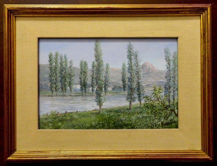 Giuseppe Cecconi (1877-?) - Paesaggio, Antiek en Kunst, Kunst | Schilderijen | Klassiek