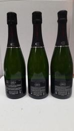 Carbon, Origine - Champagne Brut - 3 Flessen (0.75 liter), Nieuw