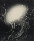 Voyager - New work, 2025 - Riko Maeshiro  (b 1992) -