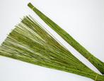Vleireet koffieriet appelgroen mikado 400gram 80cm., Nieuw