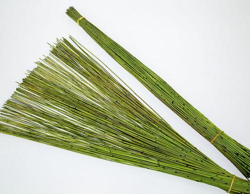 Vleireet koffieriet appelgroen mikado 400gram 80cm., Huis en Inrichting, Woonaccessoires | Kunstplanten en Kunstbloemen, Nieuw