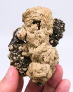 (Portugese klassieker) crèmekleurige sideriet Op een zwarte