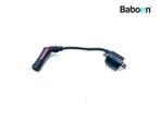 Bobine Triumph Street Twin 900 2019->, Motoren, Verzenden, Gebruikt