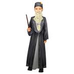 Kind Kostuum Dumbledore, Kinderen en Baby's, Carnavalskleding en Verkleedspullen, Nieuw, Verzenden