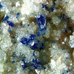 CW1102 Coloratissima Kinoite avec Idrossiapofillite-(K), Verzamelen