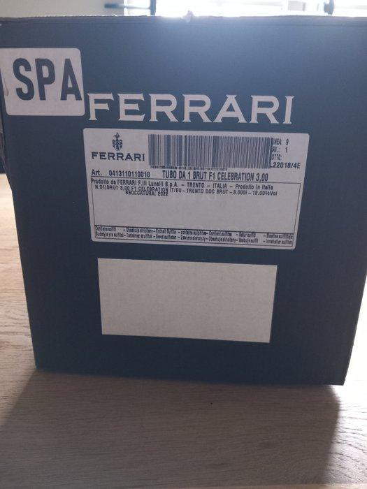 Ferrari, F1 Limited Edition - Trentino - 1 Dubbele, Verzamelen, Wijnen