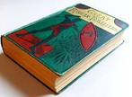 W.H.G. Kingston/ Henry Frith - Great African Travellers from