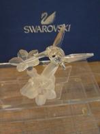 Swarovski - Beeldje - Hummingbird 166184 - Box + Certificate, Antiek en Kunst