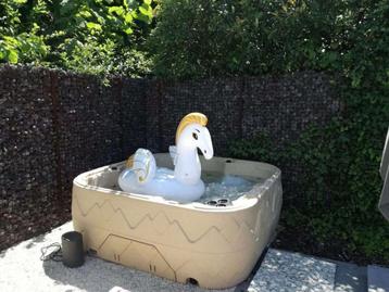 Oersterke jacuzzi met Balboa besturing *€2.450,-* disponible aux enchères