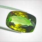 1 pcs Groen, Geel Toermalijn - 14.29 ct - nternational