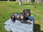 Beeld, English Bulldog 25cm - 0 cm - IJzer