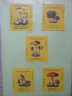 Collection thématique - Album avec 1000 marques Lucifer