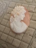 Cassis Rufa handgegraveerde kamé - Cameo - Antico van Torre, Nieuw