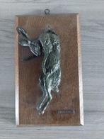 Trophée de chasse, Collections, Collections Animaux