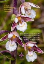 Orchideeën van de Benelux 9789083141107 C.A.J. Kreutz, Boeken, Verzenden, Gelezen, C.A.J. Kreutz