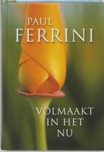 Volmaakt in het nu - Paul Ferrini - 9789020283716 - Hardcove, Verzenden, Nieuw