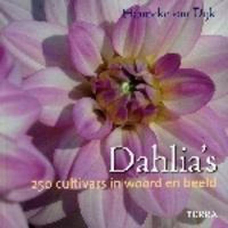 Dahlias 9789058974013 Hanneke van Dijk, Boeken, Hobby en Vrije tijd, Zo goed als nieuw, Verzenden