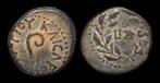 Judaea. Pontius Pilatus (26-36 n.Chr.). Prutah Date LIZ