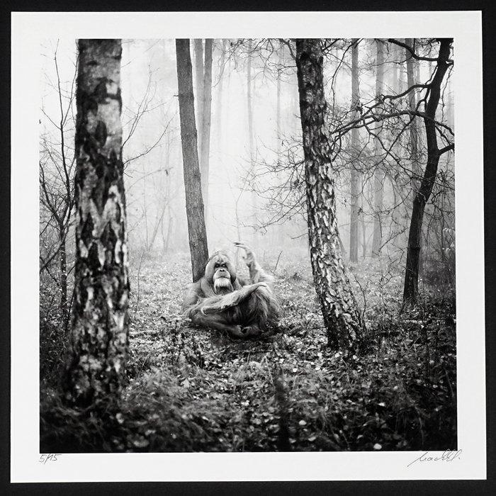 Frank Machalowski - tierwald#112, Antiek en Kunst, Kunst | Designobjecten