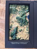 Swatch Irony Diaphane Chrono - Pheidippides - SVCK4026PACK, Verzamelen, Nieuw