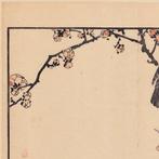 Bird 92: Plum (Prunus mume) and Eurasian BullFinch, Antiek en Kunst