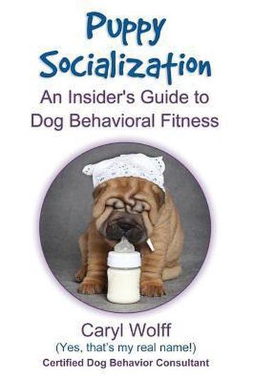 Puppy Socialization 9781500181901 Caryl Wolff, Verzenden, Caryl Wolff
