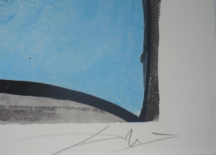 Salvador Dali (1904-1989) - Anamorphose : Arlequin, Antiek en Kunst, Antiek | Overige Antiek