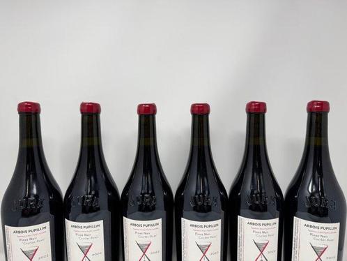 2022 Cellier Saint Benoit Courbes Raies - Arbois Pupillin, Verzamelen, Wijnen
