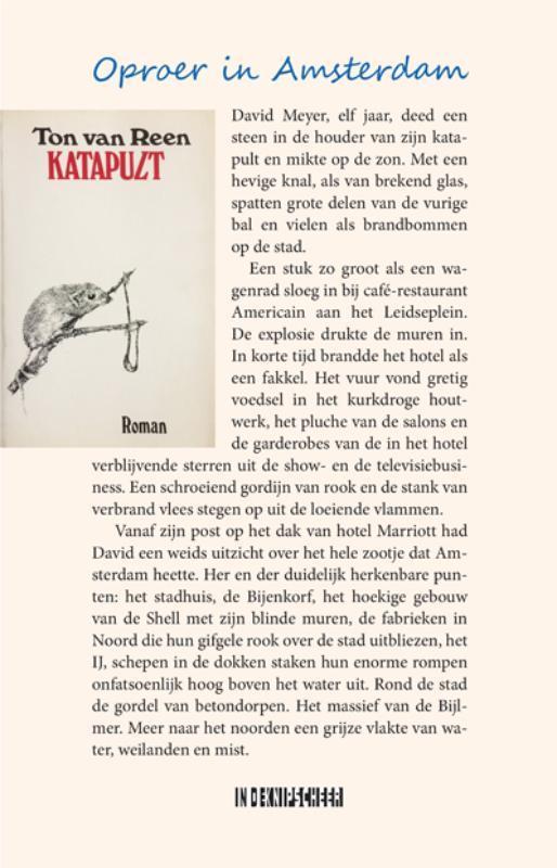 Katapult 9789062659784 Ton van Reen, Boeken, Literatuur, Zo goed als nieuw, Verzenden