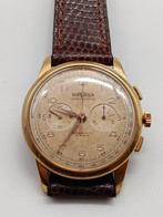 SUPERIUS - Chronographe - Cronografo Lemania 1270 - Zonder, Nieuw