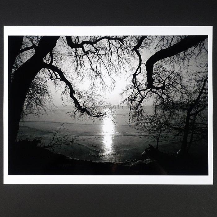 Frank Machalowski - Icy Silence, Antiek en Kunst, Kunst | Designobjecten