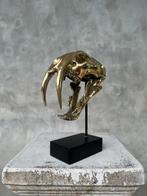 Statue, NO RESERVE PRICE - Saber Tooth Tiger Skull -
