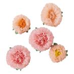 Pompons Bloemen Papier 5st, Verzenden, Nieuw