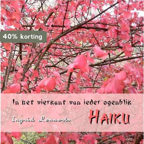 In het vierkant van ieder ogenblik 9789078459798, Boeken, Overige Boeken, Zo goed als nieuw, Verzenden