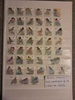 België 1985/2009 - Buzin uitgebreide collectie met boekje 2