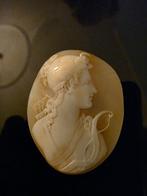schelp Cameo - Replica na een antiek (Zonder minimumprijs), Antiek en Kunst