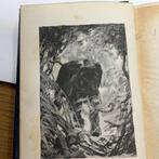 Rudyard Kipling - The Jungle Book - 1894