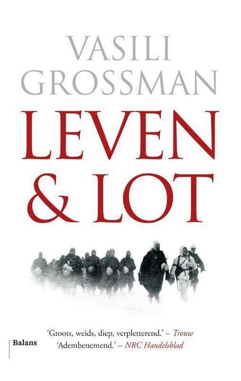 Leven en lot 9789460037511 Vasili Grossman, Boeken, Romans, Zo goed als nieuw, Verzenden