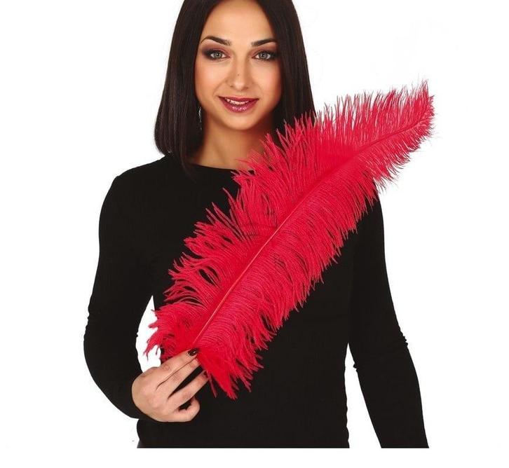 Rode Struisvogelveren 50cm 12st, Hobby en Vrije tijd, Feestartikelen, Nieuw, Verzenden