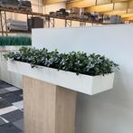 Plantenbak met kunstplanten, (bxd) 180x45 cm, MDF-wit, Huis en Inrichting, Kamerplanten