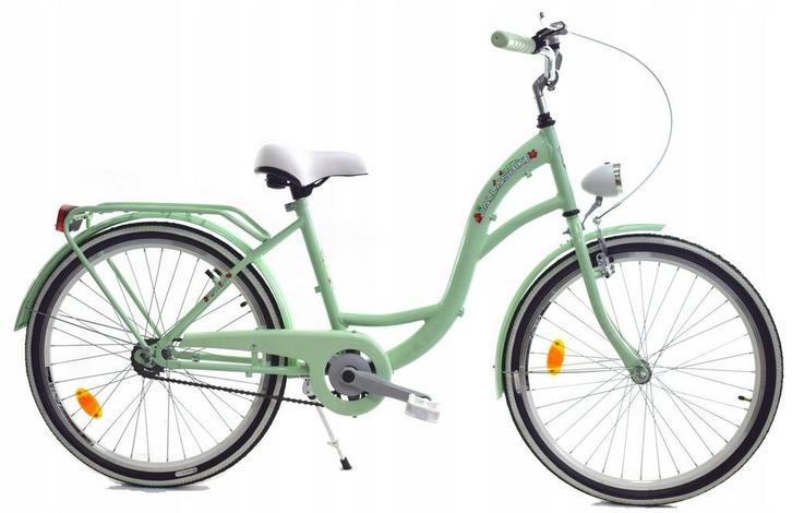 Meisjesfiets 24 inch stevig model in mint van Dallas Bike, Fietsen en Brommers, Fietsen | Meisjes, Nieuw, Ophalen of Verzenden